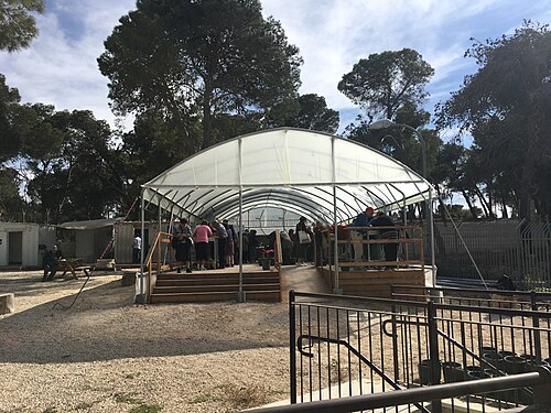 Temple Mount Sifting Project